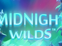 Midnight Wilds™