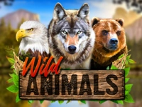 Wild Animals