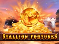 Stallion Fortunes