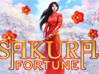 Sakura Fortune