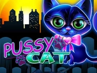 Pussy Cat