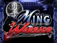 Ming Warrior