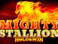 Mighty Stallion Hold and Win