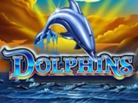 Dolphins