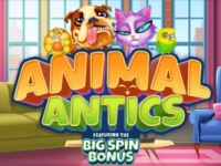 Animal Antics