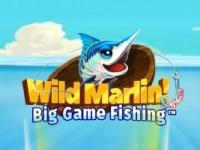 Wild Marlin  Big Game Fishing