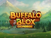 Buffalo Blox Gigablox