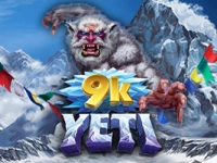 9k Yeti