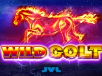 Wild Colt