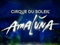 Cirque Du Soleil Amaluna