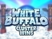 White Buffalo