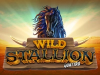 Wild Stallion Quattro