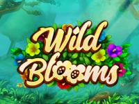 Wild Blooms