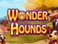 Wonder Hounds