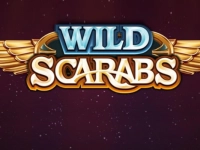 Wild Scarabs