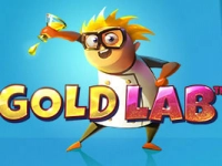 Gold Lab