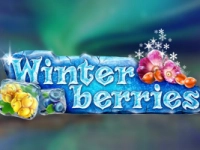 Winterberries