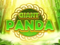 Giant Panda