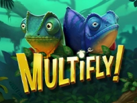 Multifly!