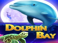 Dolphin Bay