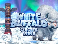 White Buffalo Cluster Wins