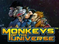 Monkeys of the Universe