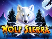 Wolf Sierra