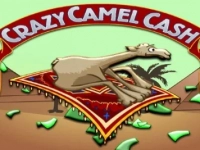 Crazy Camel Cash