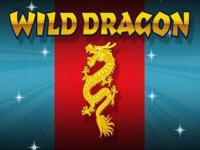 Wild Dragon