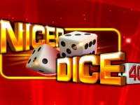 Nicer Dice 40