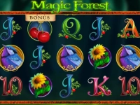 Magic Forest