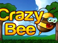 Crazy Bee