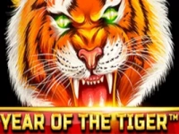 Year Of The Tiger