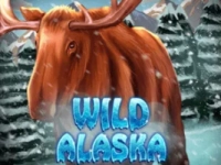 Wild Alaska