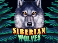 Siberian Wolves