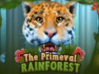 Primeval Rainforest