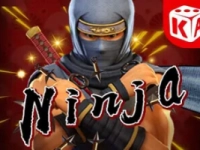 Ninja