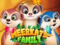 Meerkats' Family