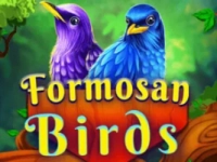 Formosan Birds