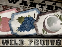 Wild Fruits