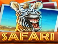 Safari