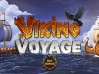 Viking Voyage