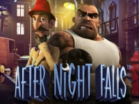 After Night Falls