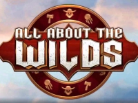 All About The Wilds