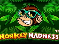 Monkey Madness