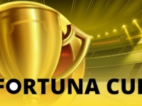 243 Fortuna Cup