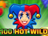 100 Hot Wild