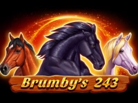 Brumby's 243