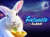 Fortunate Rabbit