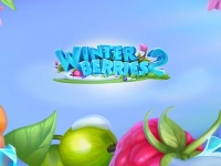 Winterberries 2